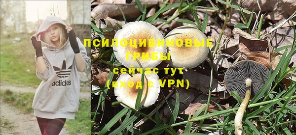 MESCALINE Вяземский