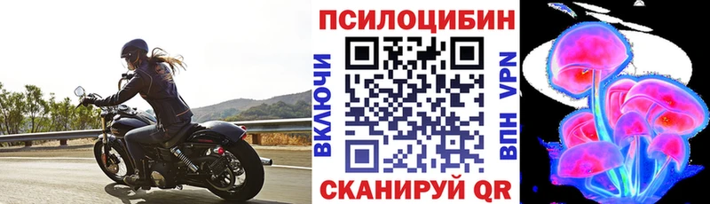 как найти закладки  Печоры  MEGA зеркало  Псилоцибиновые грибы мицелий 