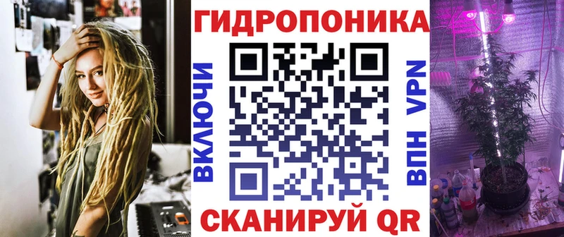 где купить наркоту Печоры Канабис OG Kush